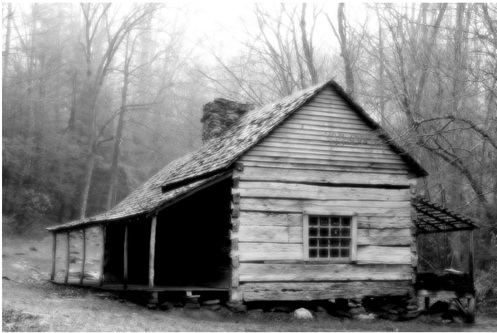 dingfamblyhomeplace